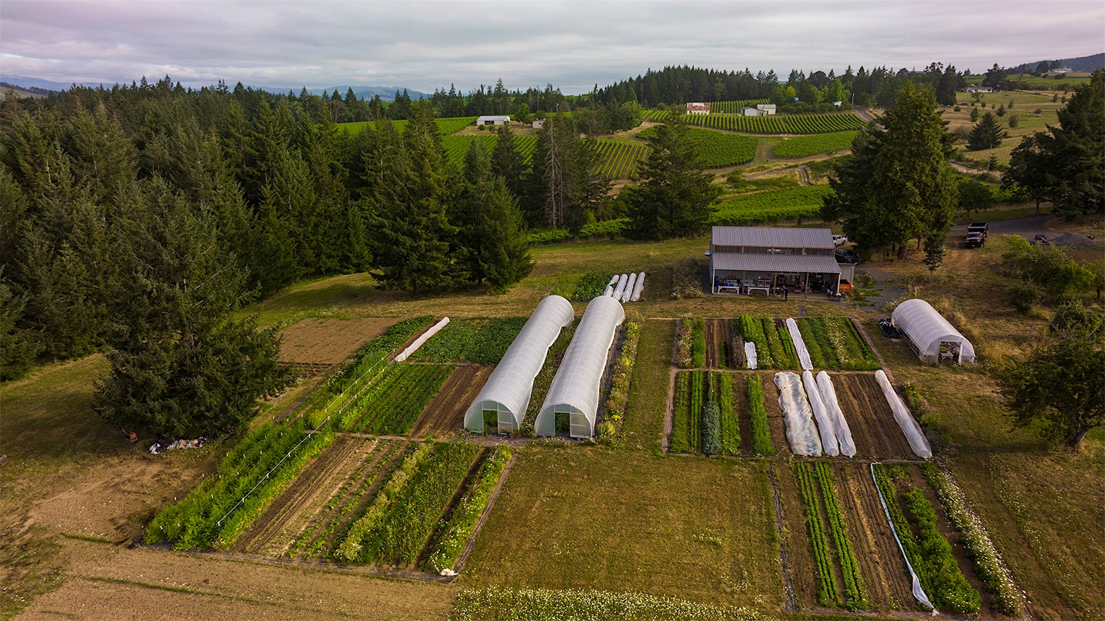  Aerial view of a Willamette Valley farm with hoop houses and fields of vegetables